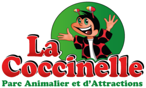 la coccinelle conseiller numérique